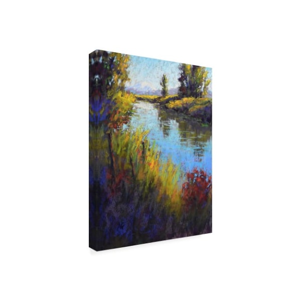 Alejandra Gos 'Looking Down The Slough' Canvas Art,35x47